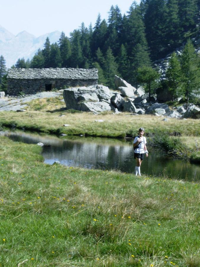 Villa Mansarda Plein Soleil Donnaz Esterno foto